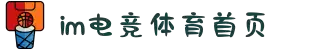IM(股份有限公司)电竞-电子竞技平台